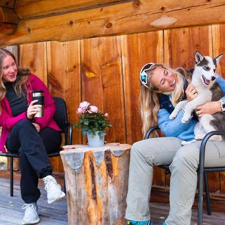 Jotunheimen Husky Lodge Randsverk Екстериор снимка