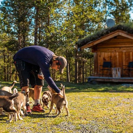 Jotunheimen Husky Lodge Randsverk Екстериор снимка