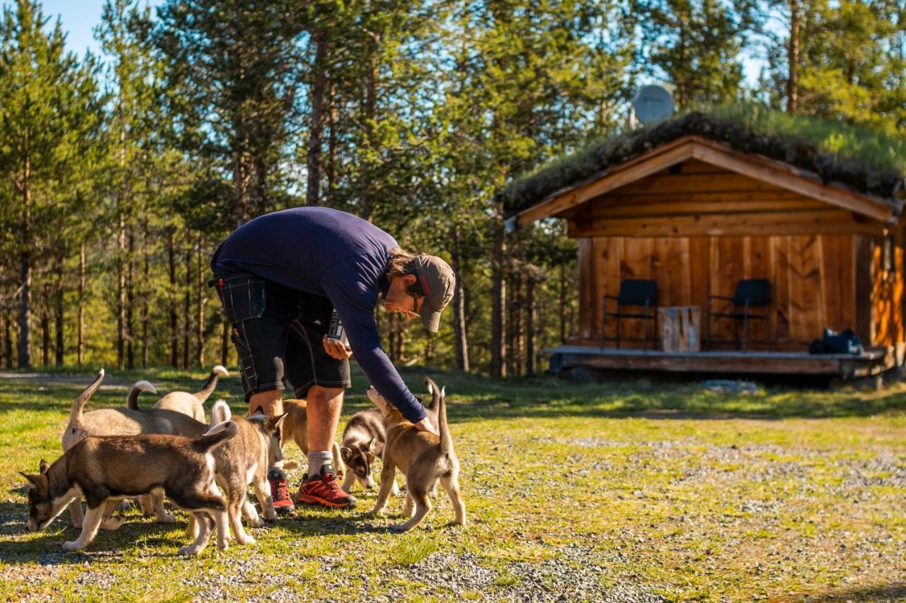 Jotunheimen Husky Lodge Randsverk Екстериор снимка