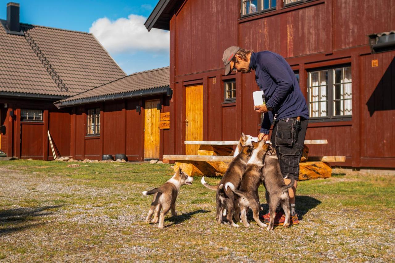 Jotunheimen Husky Lodge Randsverk Екстериор снимка