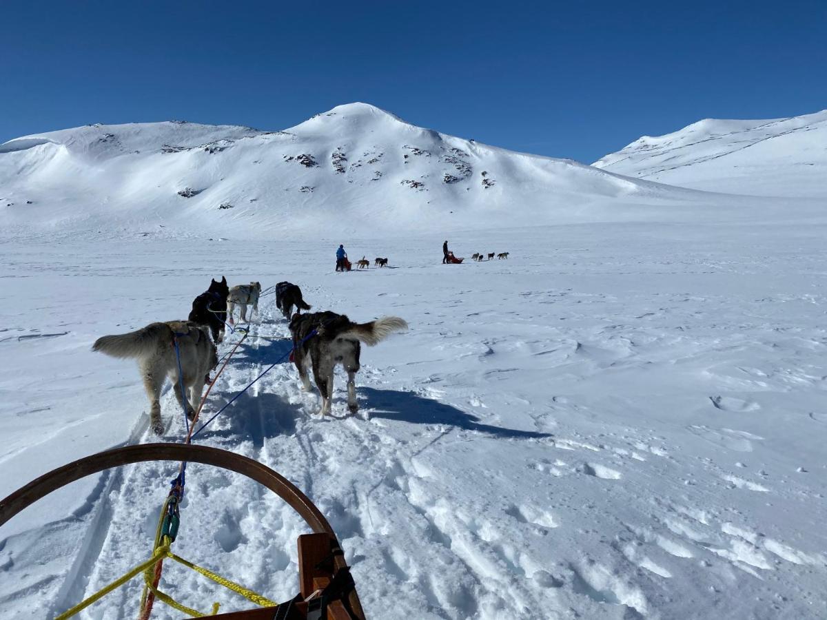 Jotunheimen Husky Lodge Randsverk Екстериор снимка