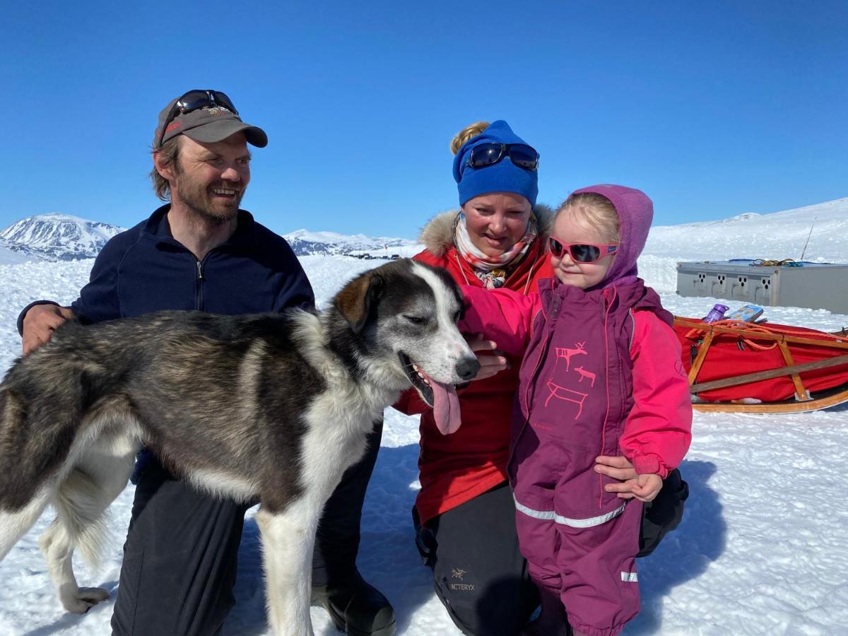 Jotunheimen Husky Lodge Randsverk Екстериор снимка